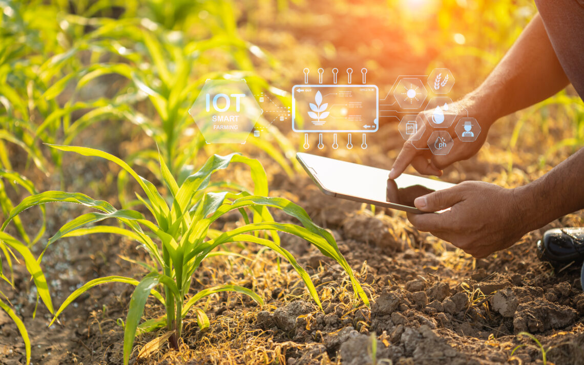 Smart Agriculture: The Rise of AI‑Powered Farming
