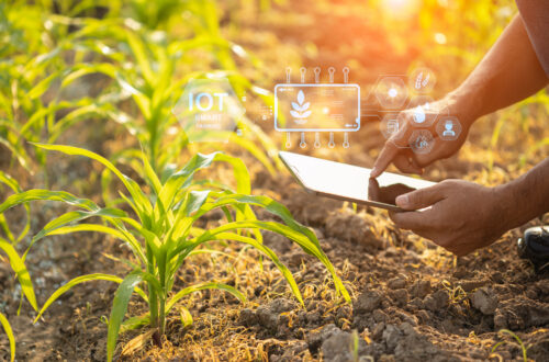 Smart Agriculture: The Rise of AI‑Powered Farming